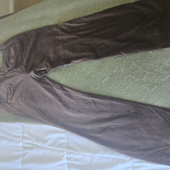 Ann Taylor LOFT size 12 marissa brown velveteen pant New with tag. - Picture 8 of 8